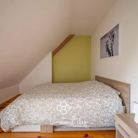 Coeur De Sarthe - Maison 20pers - Balneo - Bbq