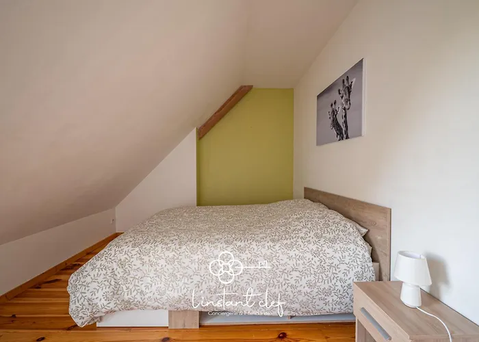 Coeur De Sarthe - Maison 20pers - Balneo - Bbq